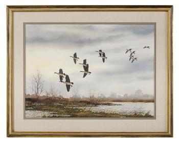 Canadian Geese by 
																	David Hagerbaumer